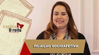 Explica Direito Filiação Socioafetiva  2019 [upl. by Woodsum893]