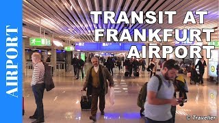 TRANSIT WALK AT FRANKFURT Airport FRA Terminal 1  Connection Flight Transfer Arriving amp Departing [upl. by Saxena]